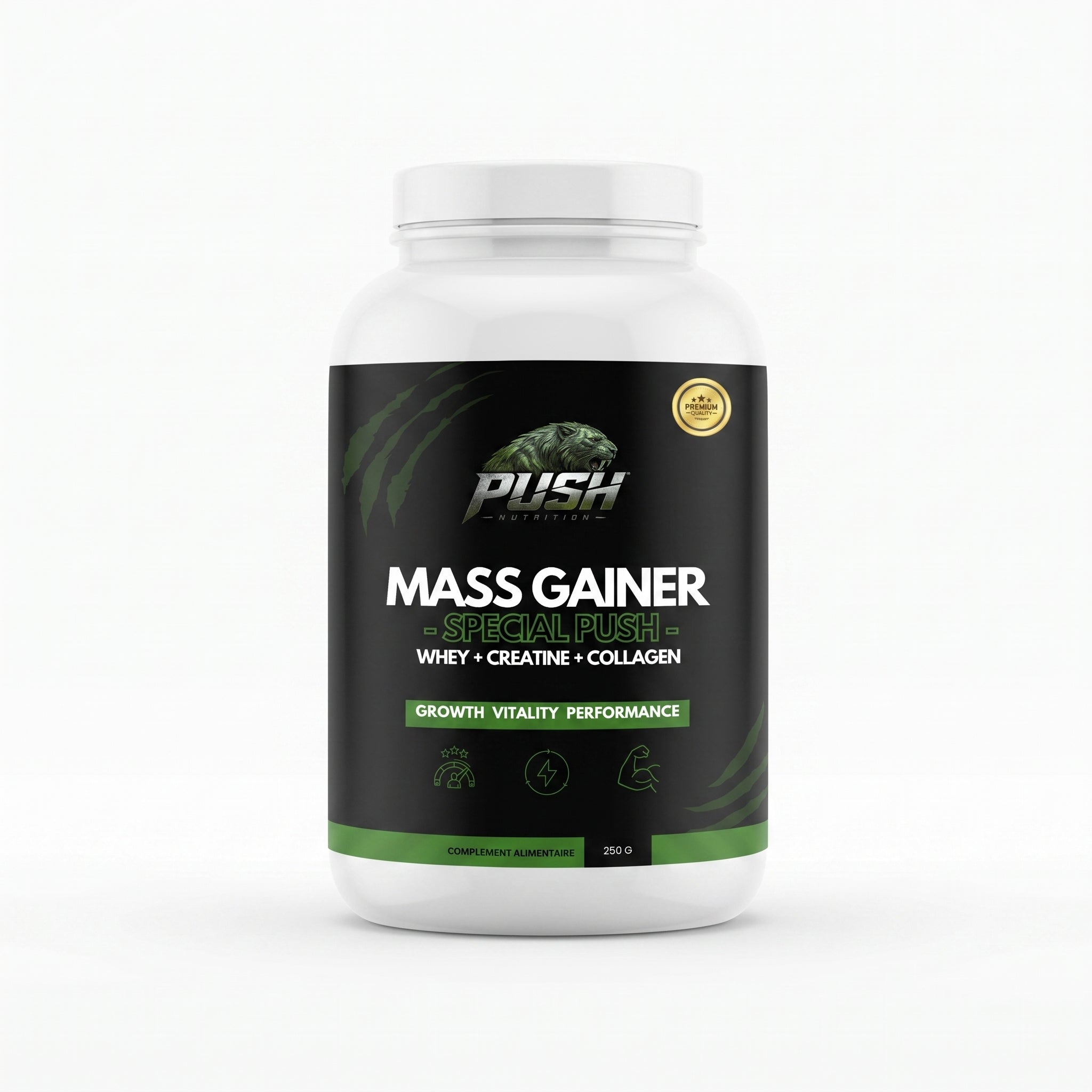 Push Protein Mass Gainer